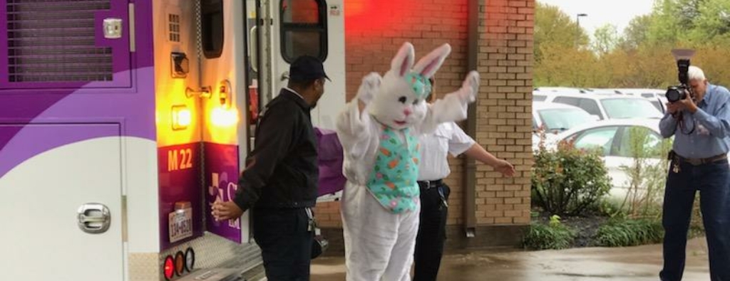 PR Bunny